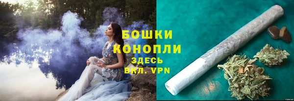 spice Каменногорск