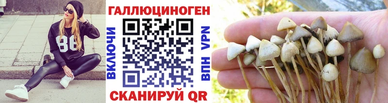 Псилоцибиновые грибы мухоморы Алупка