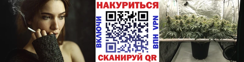 продажа наркотиков  Алупка  Шишки марихуана AK-47 